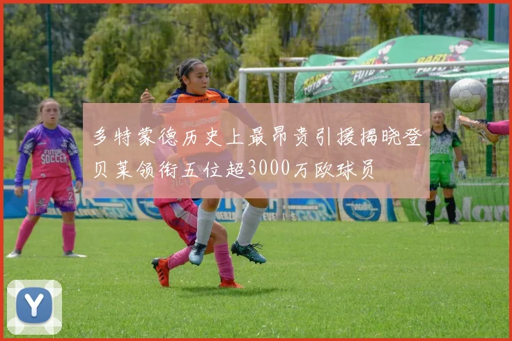 多特蒙德历史上最昂贵引援揭晓登贝莱领衔五位超3000万欧球员