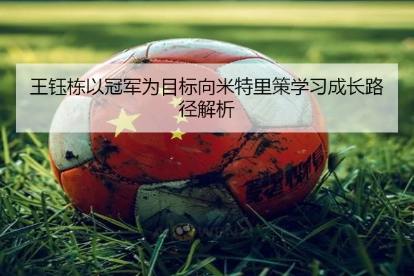 王钰栋以冠军为目标向米特里策学习成长路径解析