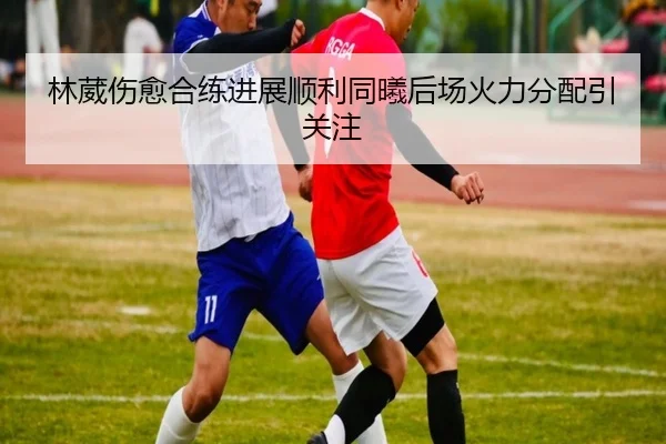林葳伤愈合练进展顺利同曦后场火力分配引关注